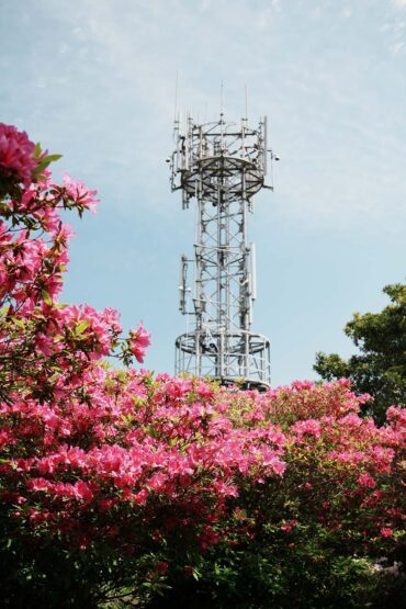 武山電波塔